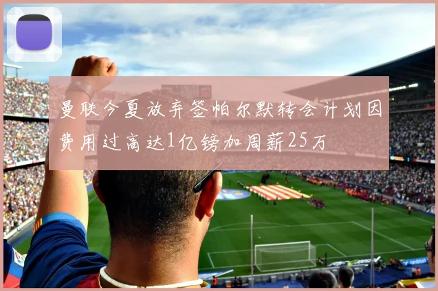 曼联今夏放弃签帕尔默转会计划因费用过高达1亿镑加周薪25万